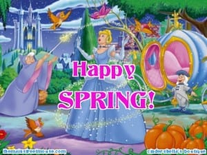 spring1 | The Main Street Mouse