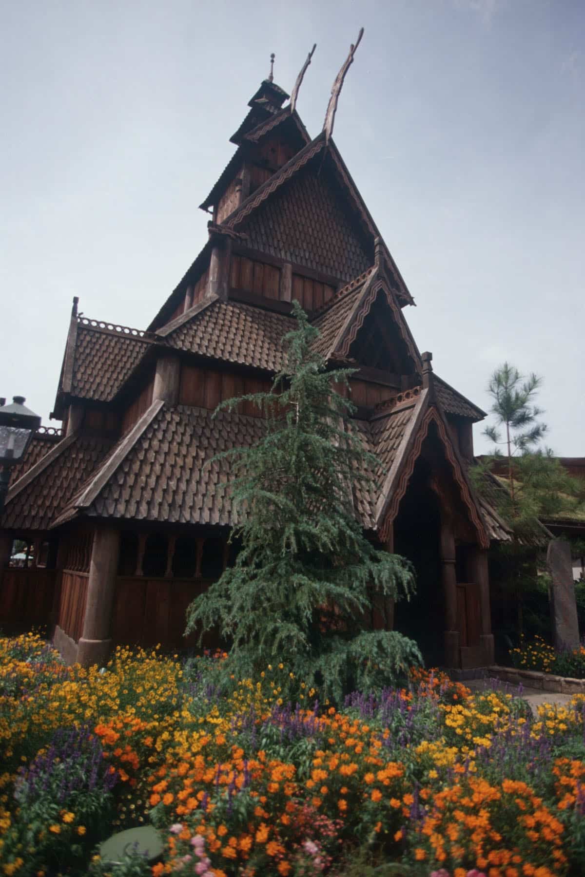 ECL2201233 | The Main Street Mouse