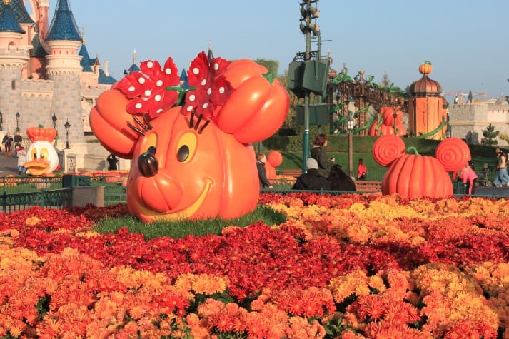 dlp | The Main Street Mouse