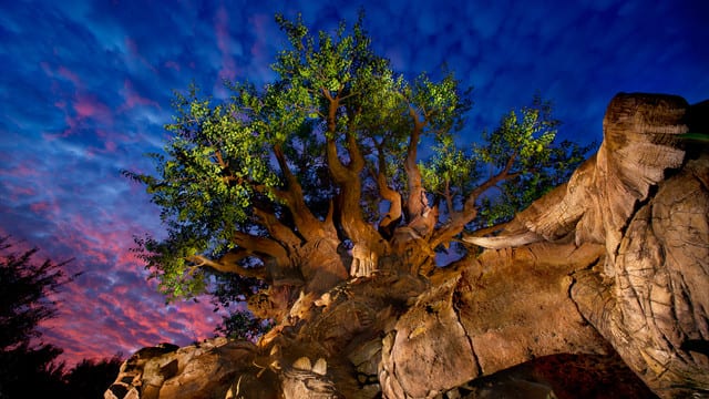 treeoflifegallery01 | The Main Street Mouse