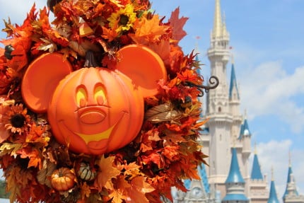 IMG2163 | The Main Street Mouse