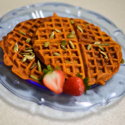 pumpkinwaffle | The Main Street Mouse