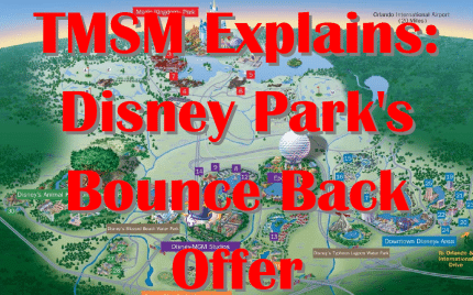 bounceback | The Main Street Mouse