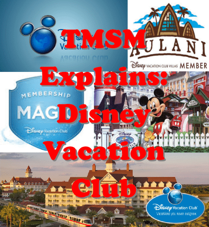 ExplainsDVC | The Main Street Mouse