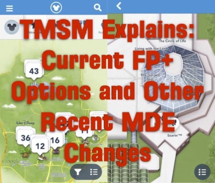 TMSMExplainsMDEFP