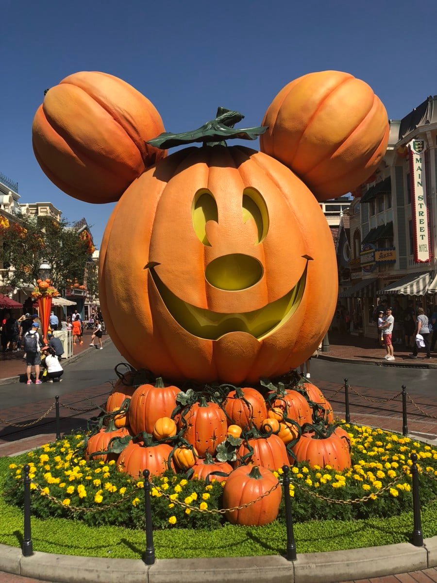 Disneyland Vs Disney World  Who Does Halloween Better?