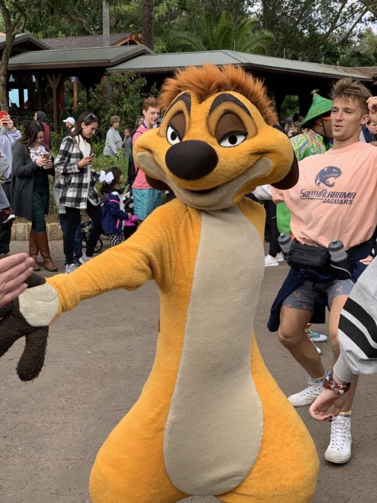 Hakuna Matata Time Dance Party at Animal Kingdom #nowmorethanever