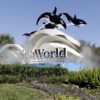 SeaWorld & Aquatica Holiday Pre-Sale: Up to 65% Off Tickets