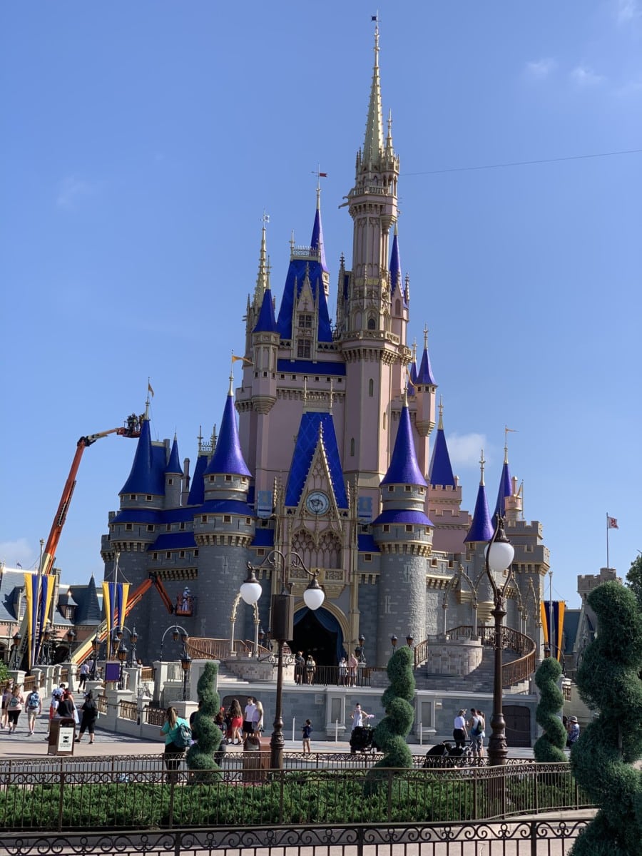 5A0BACE07E994566B7045EF8312FCC11 | The Main Street Mouse