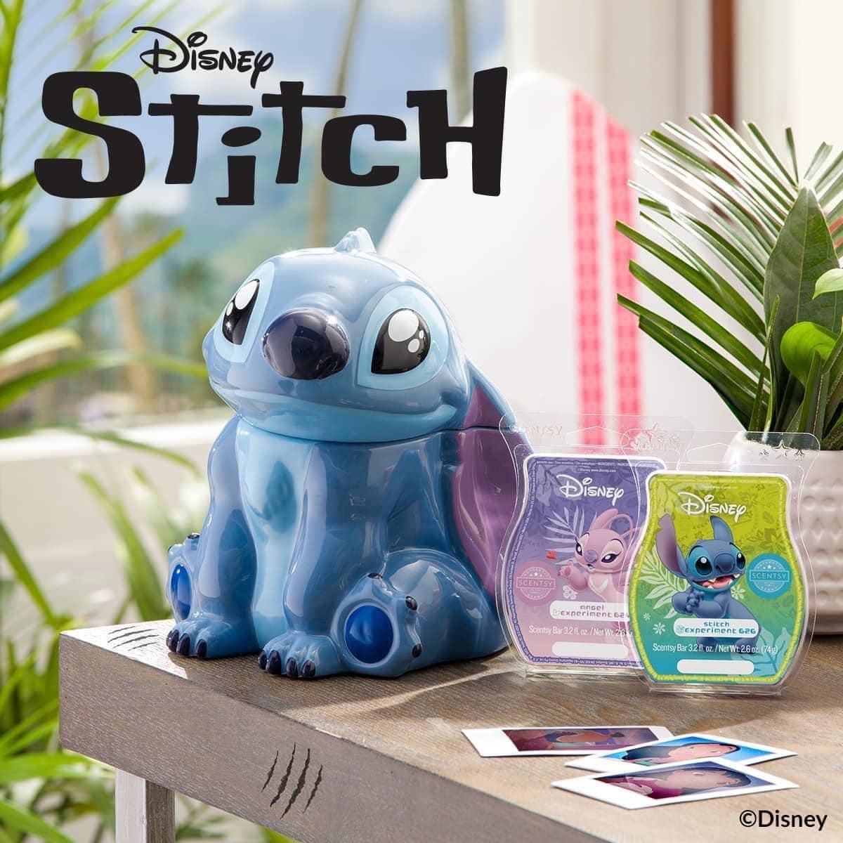 C7DE3DBE7CD841588819BFDCF324B4FF | The Main Street Mouse