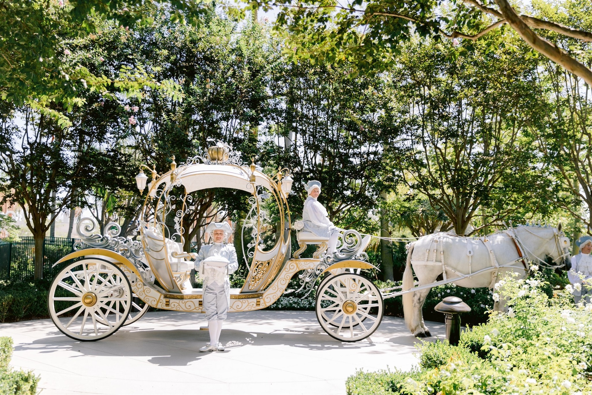 Disney’s Fairy Tale Weddings & Honeymoons