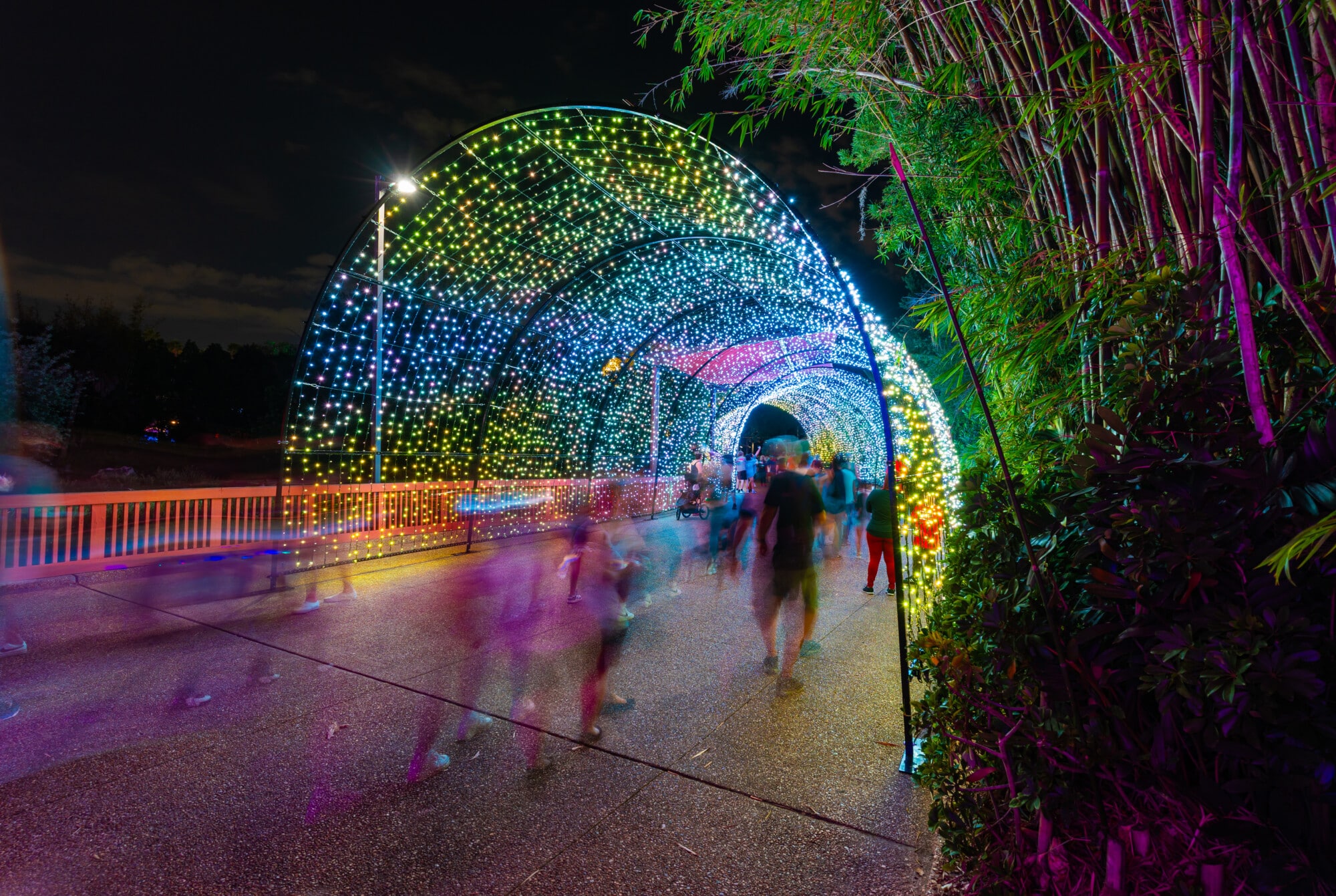 Light Tunnel at Busch Gardens' Christmas Town