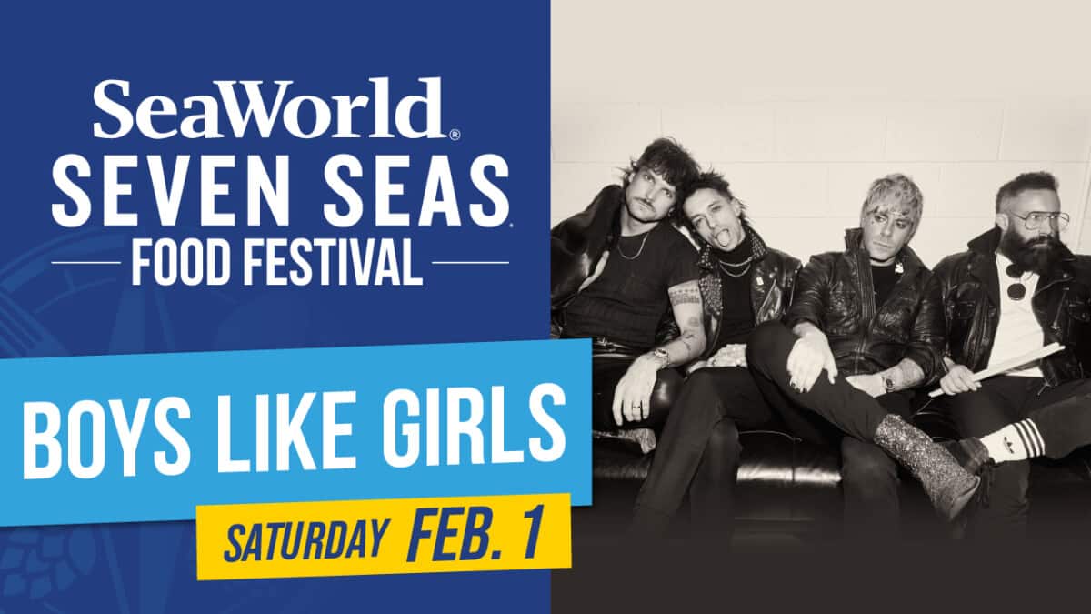 Seven Seas_Concert_Boys Like Girls