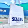 SEA LIFE® Announces Grand Opening Date at LEGOLAND®