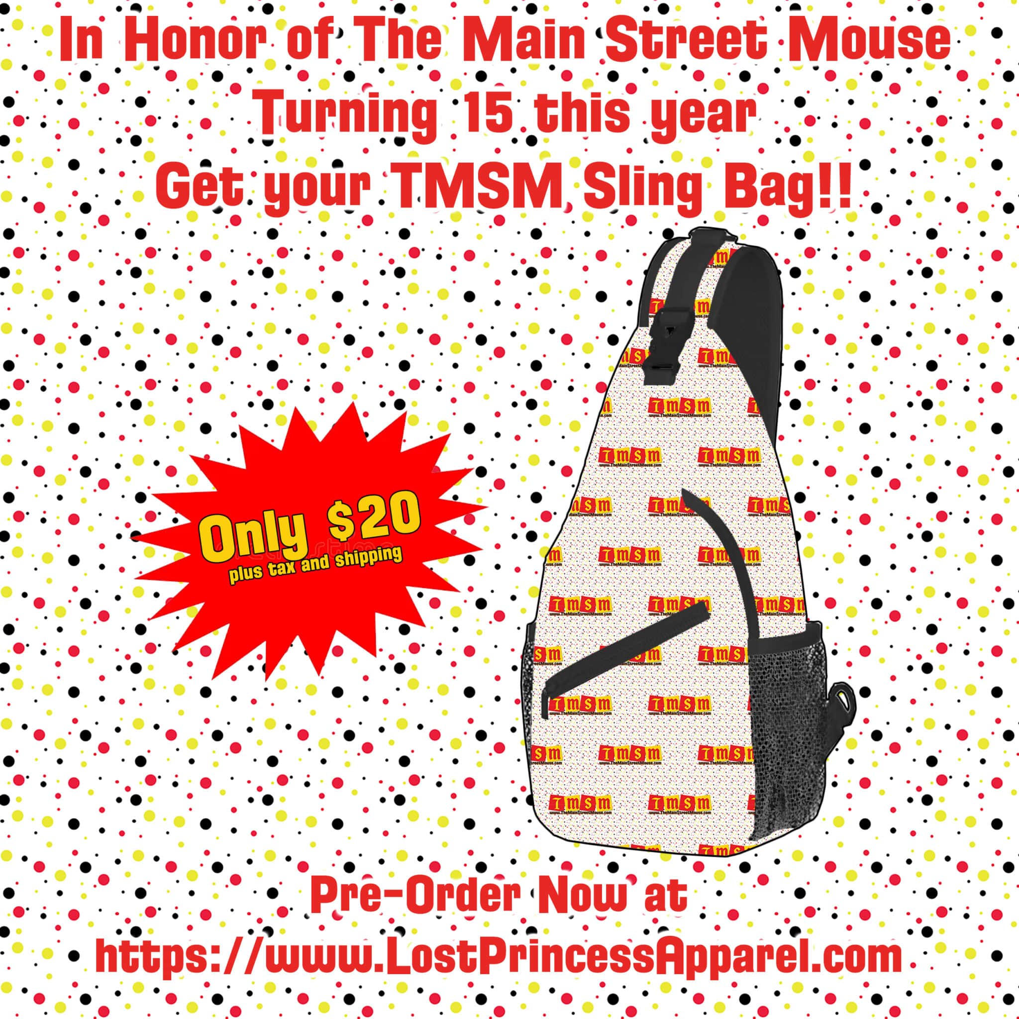 TMSM Sling Bag1