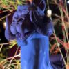 New Tauntaun Popcorn Bucket at the Disneyland Resort