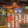 Snl Store