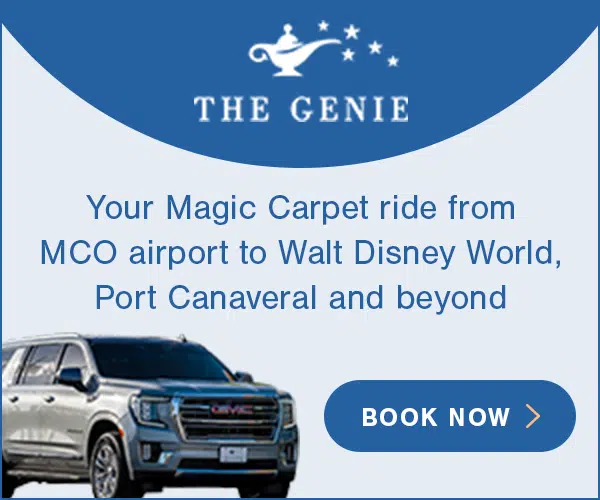 The Genie Transportation Services