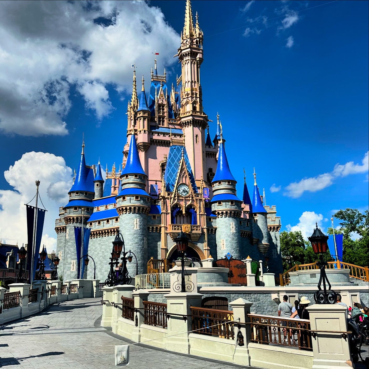 Disney Castle