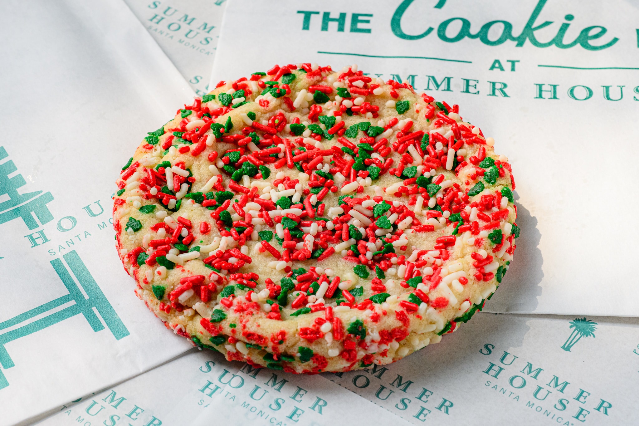 Summer House on the Lake holiday Sprinkle Cookie photo David Borzkowski