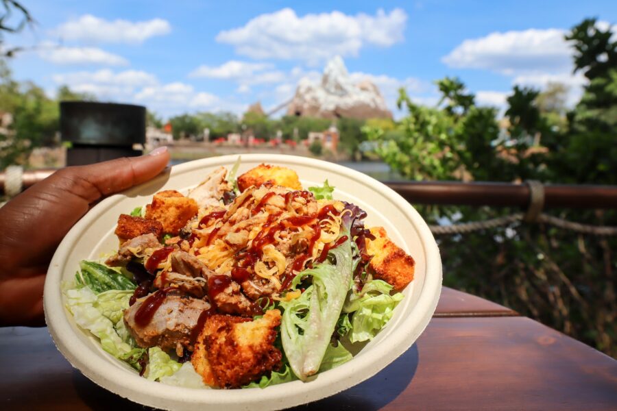 2026WDWAnimalKingdomFoodExpedition11 | The Main Street Mouse 2026 wdw animal kingdom food expedition 11