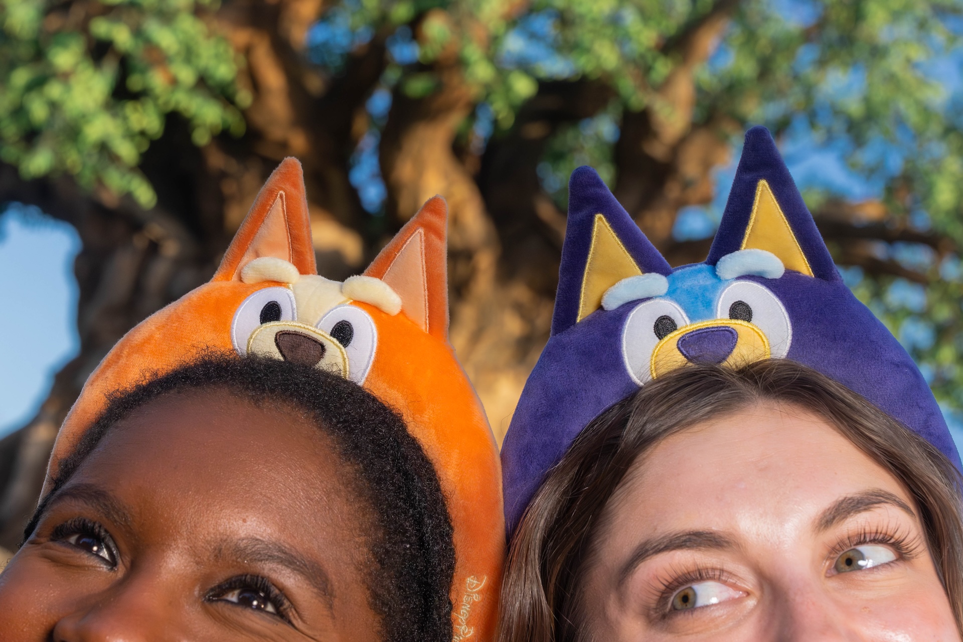 Where to Find Bluey Merchandise at Disneys Animal Kingdom | The Main Street Mouse Where to Find Bluey Merchandise at Disneys Animal Kingdom