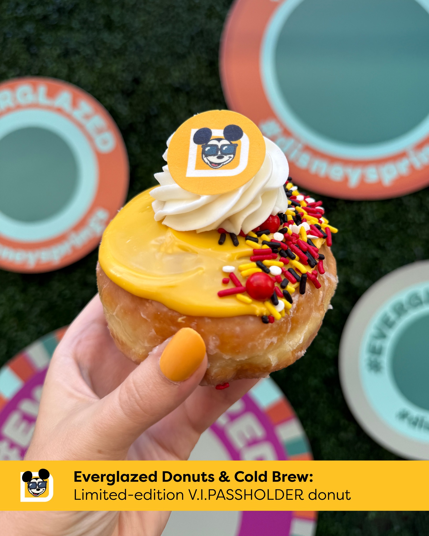 Everglazed Donuts Cold Brew | The Main Street Mouse Everglazed Donuts Cold Brew