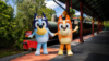 How to Join the Virtual Queue for Bluey’s Wild World at Conservation Station