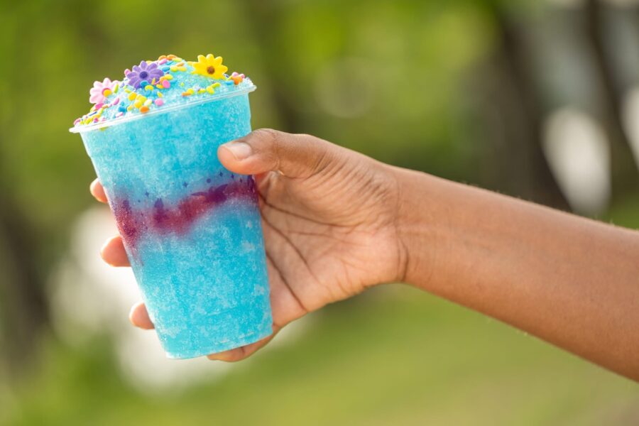 IMG1708 | The Main Street Mouse Hand Holding a Blue Slushy Cup Topped with Colorful Flower shaped Sprinkles Outdoors