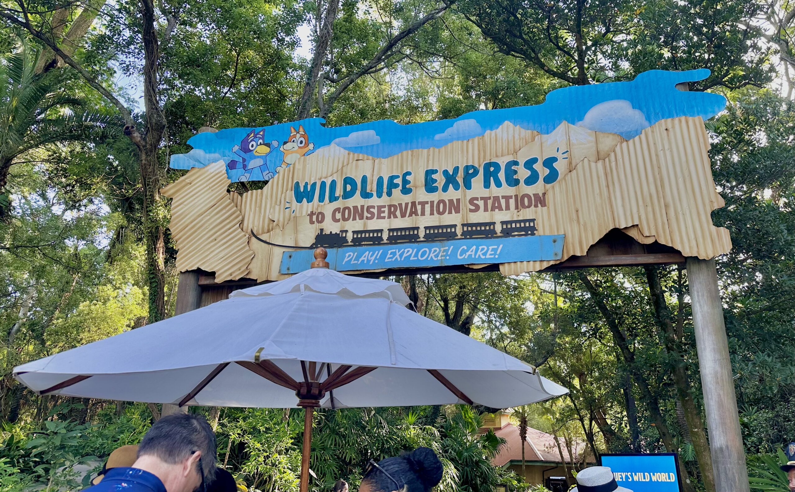 Blueys Wild World | The Main Street Mouse Blueys Wild World