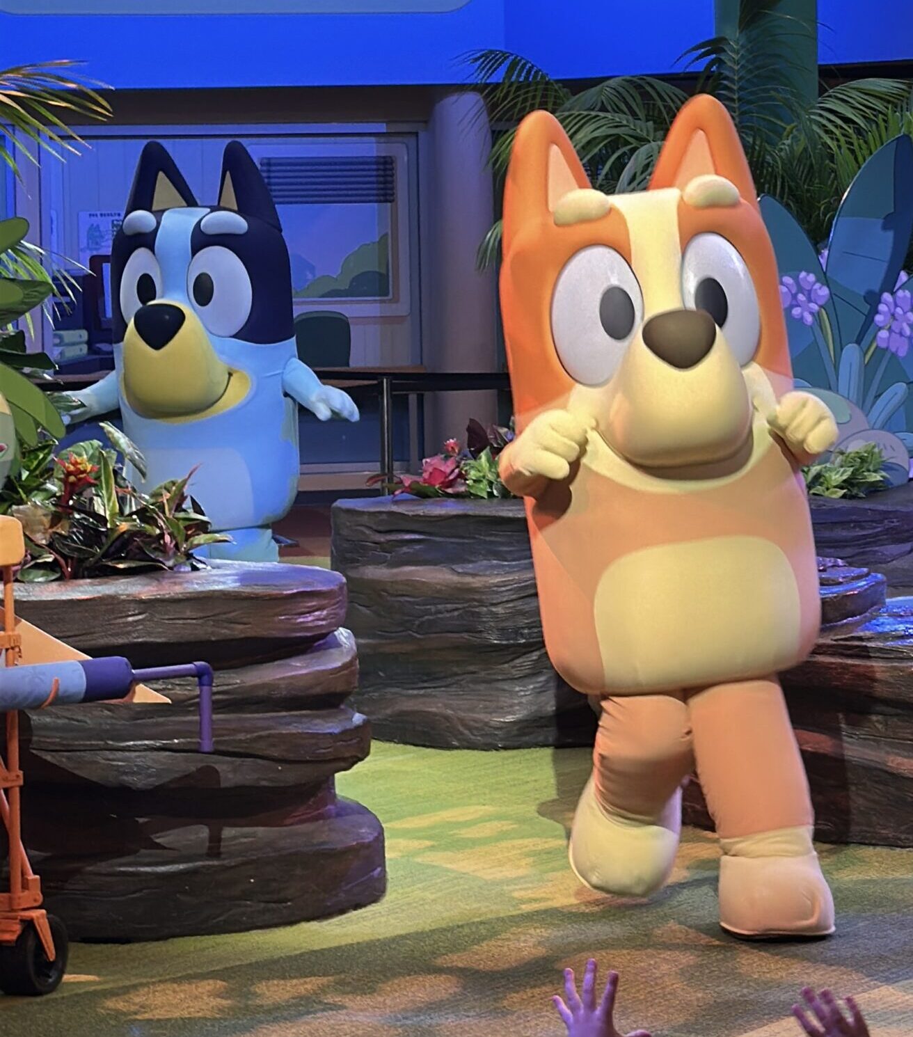 Bluey and Bingo Animal Kingdom | The Main Street Mouse Bluey and Bingo Animal Kingdom