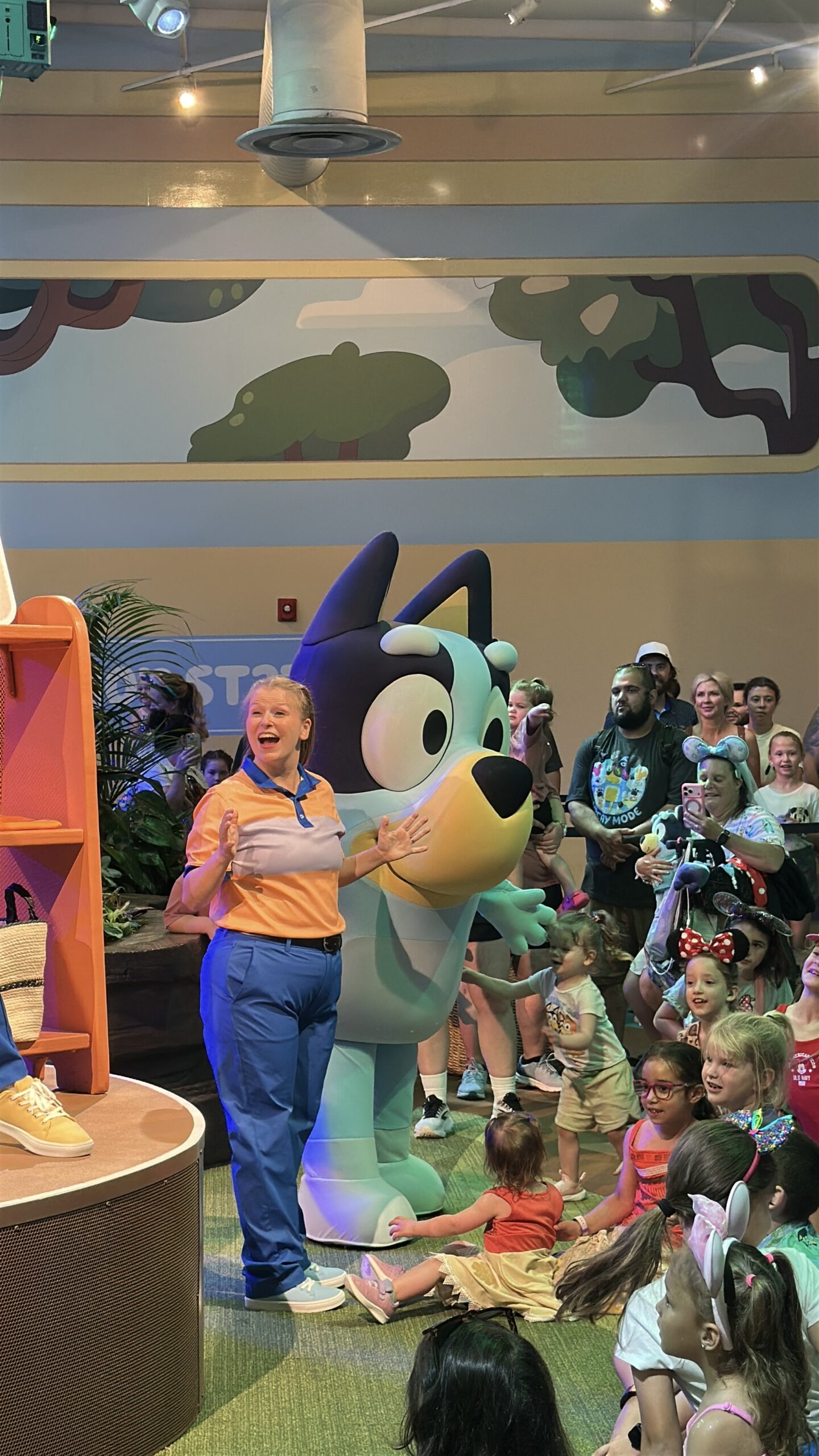 Blueys Wild World | The Main Street Mouse Bluey's Wild World