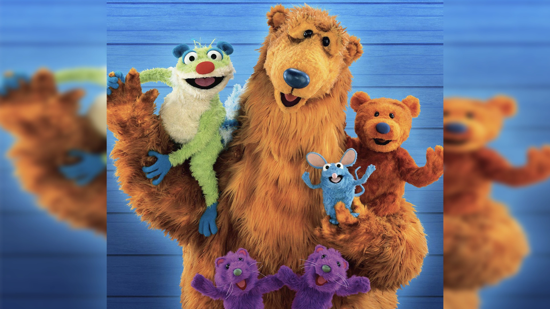 Bear in the Big Blue House Meet Noel Macneil