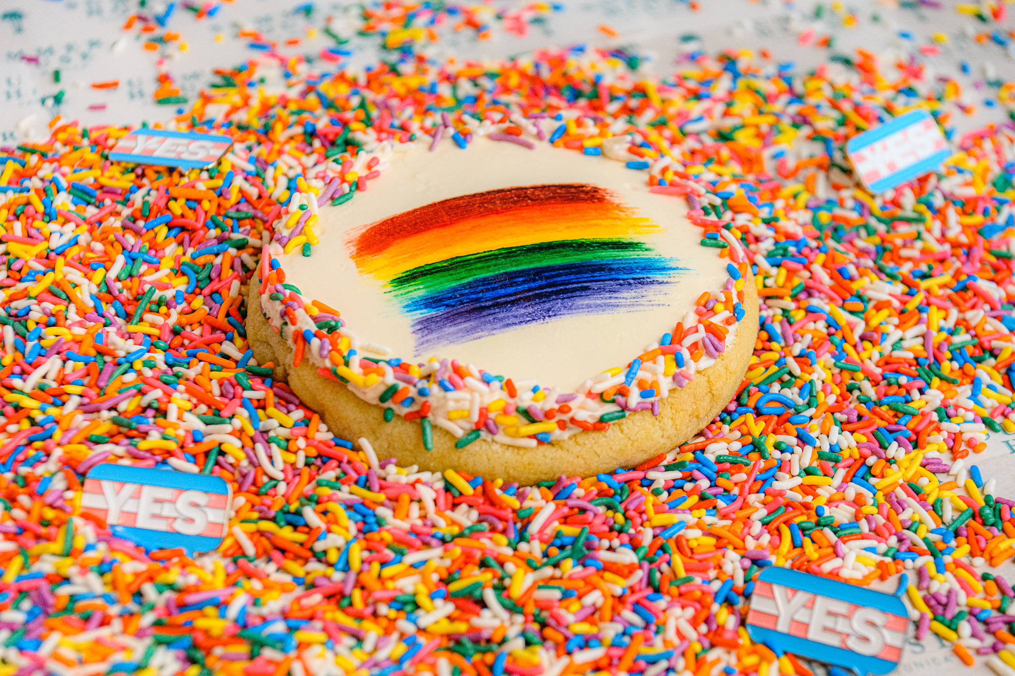 Summer HousePride Cookie2David Borzkowski | The Main Street Mouse Summer House pride Cookie2 david Borzkowski