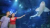 SEA LIFE Orlando Celebrates Sharks with Summer Event