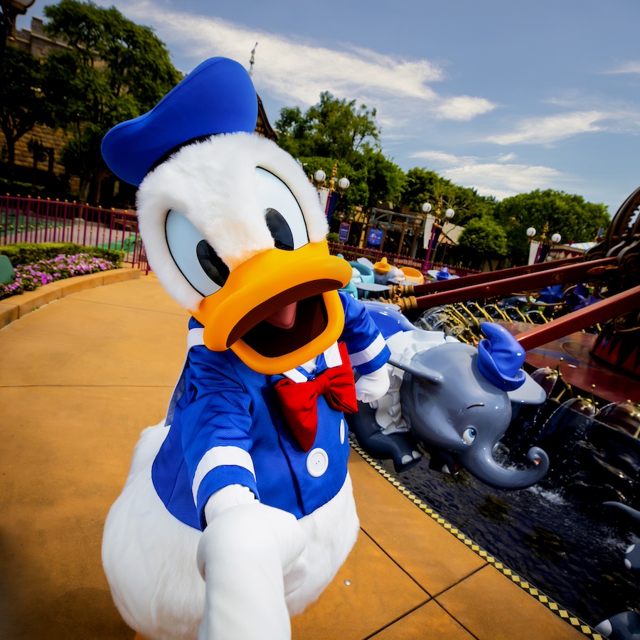 donaldduckdumbo | The Main Street Mouse Donald duck dumbo