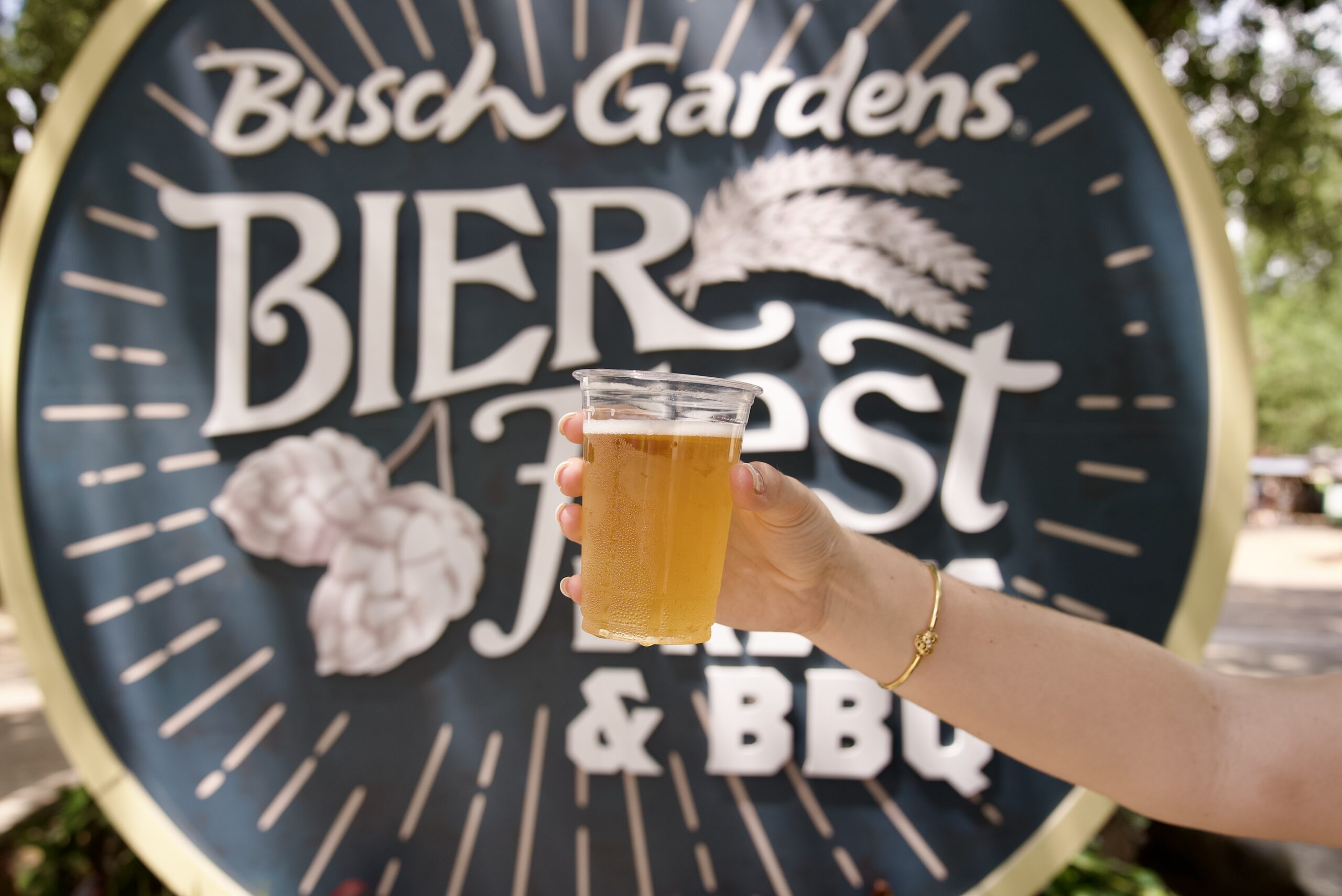 Bier Fest Brews Bbq 2