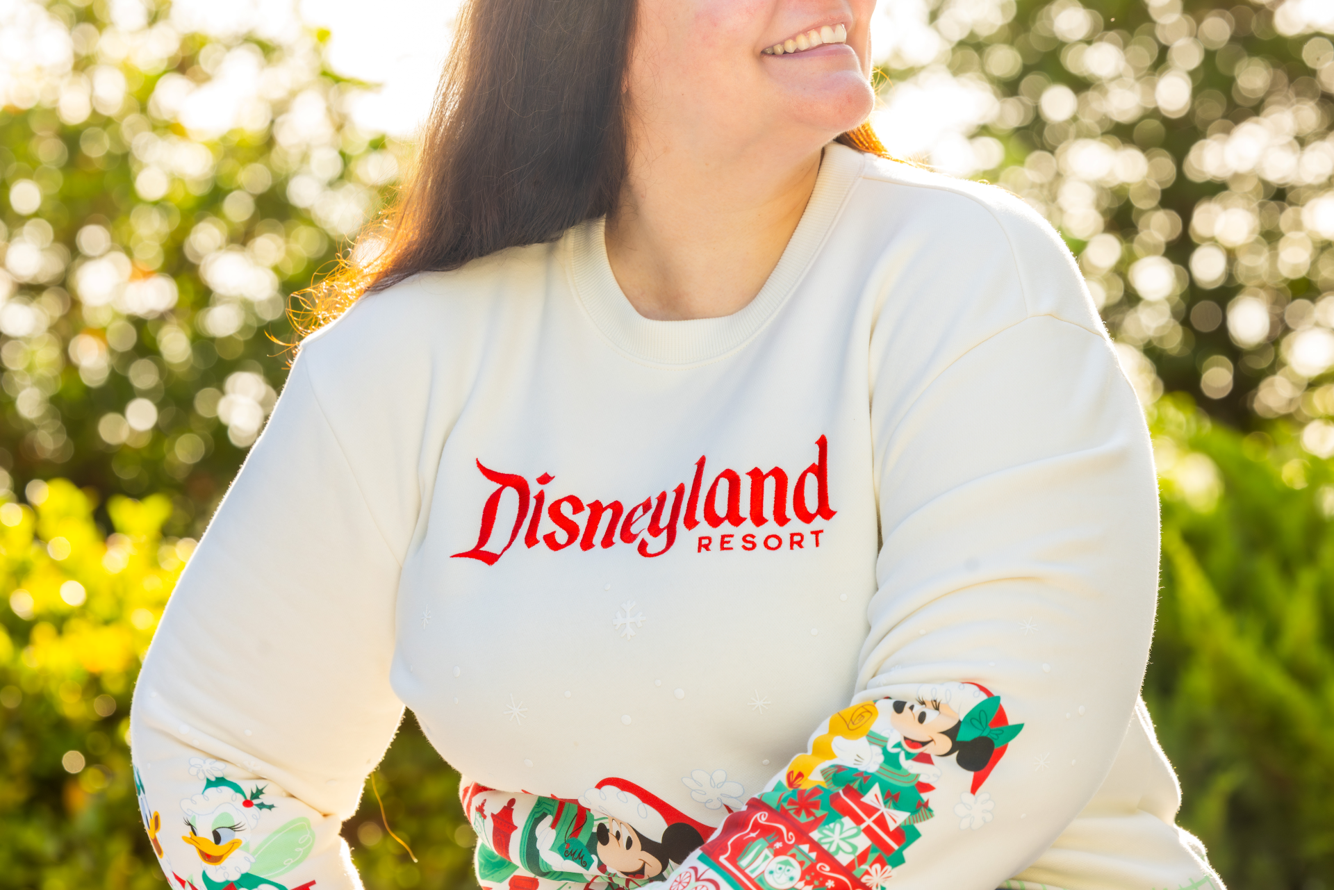 DisneylandHolidayMerchandise | The Main Street Mouse Disneyland holiday merchandise