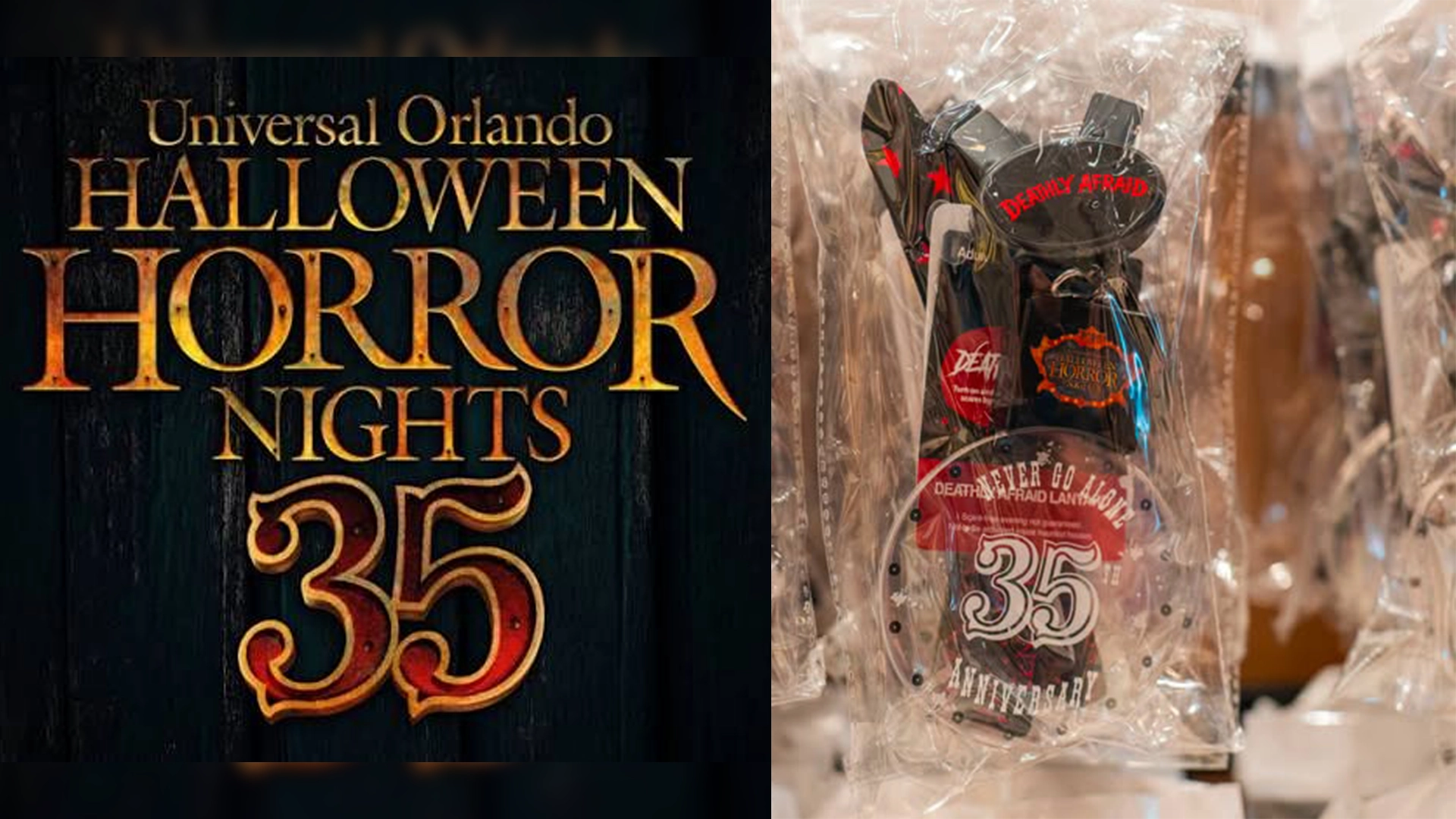 Returning deathly Afraid Necklace for Hhn