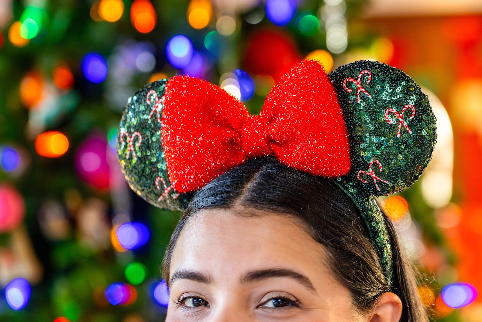 HolidayMerchDisneyland | The Main Street Mouse Holiday merch disneyland