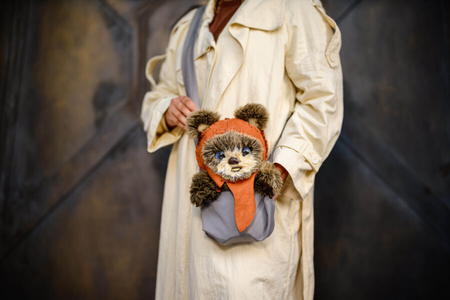Ewok adventure buddy | The Main Street Mouse Ewok Adventure Buddy