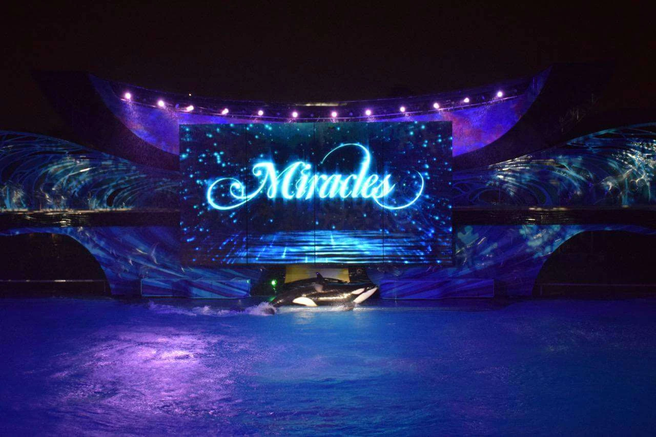 Miracles SeaWorld Orlando | The Main Street Mouse Miracles Seaworld Orlando