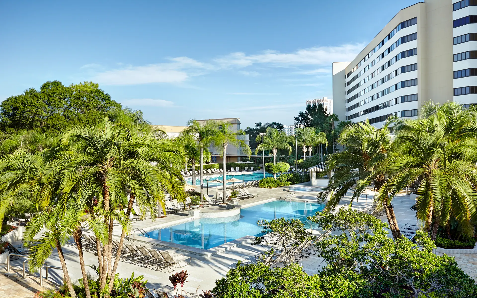 HiltonLBVRecreationPool | The Main Street Mouse Hilton lbv recreation pool