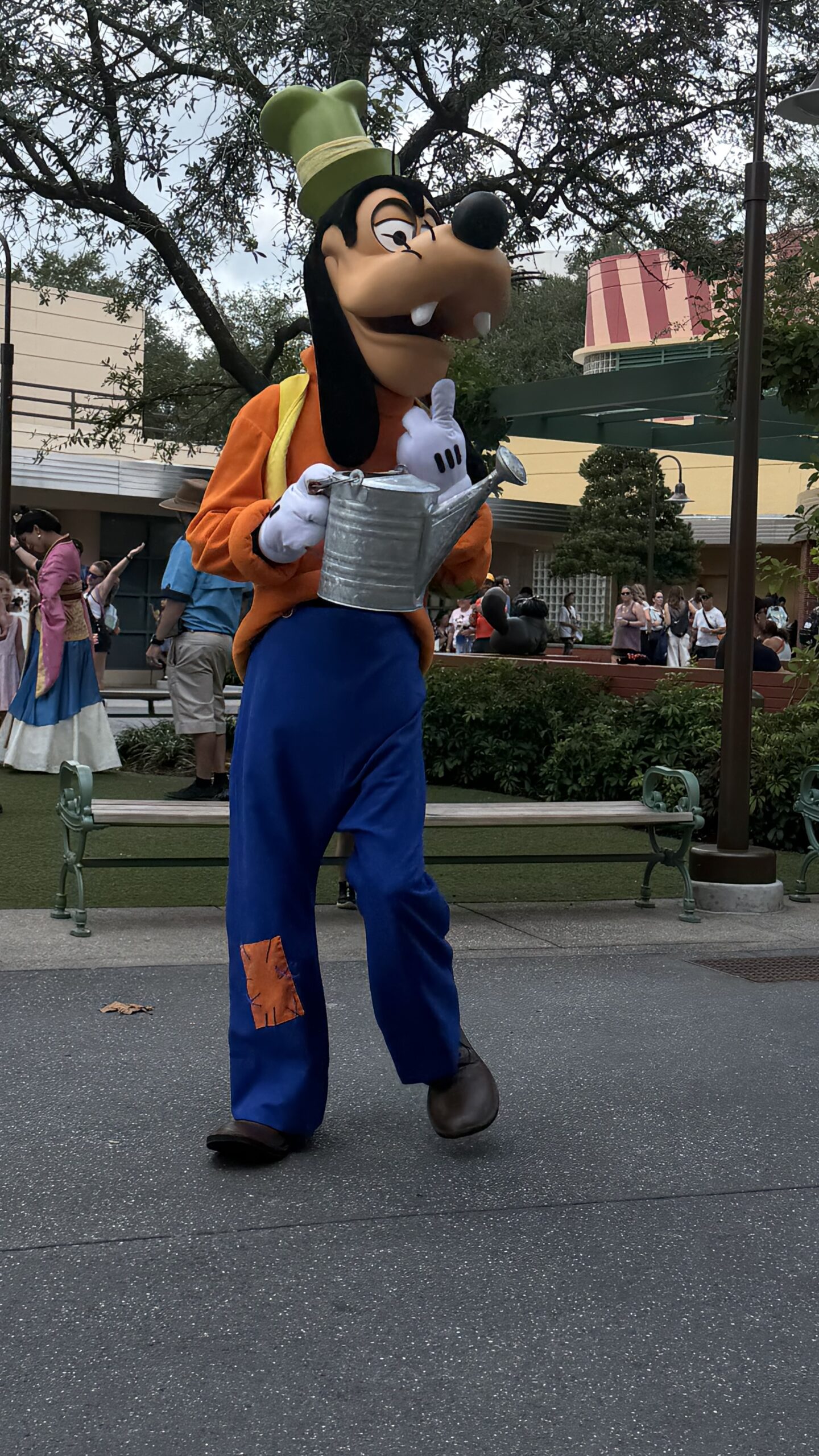 Goofy