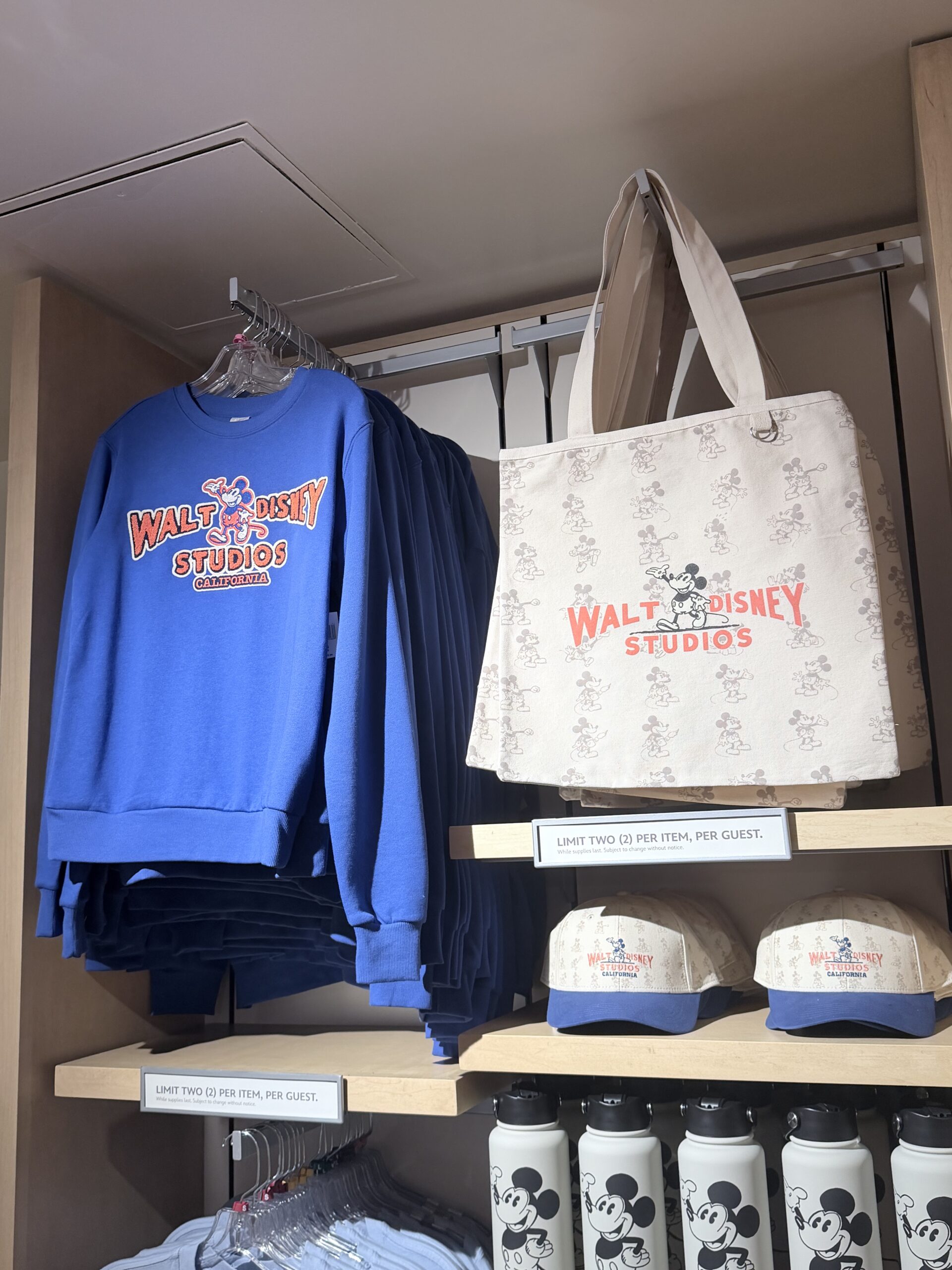 Walt Disney Studios Merch