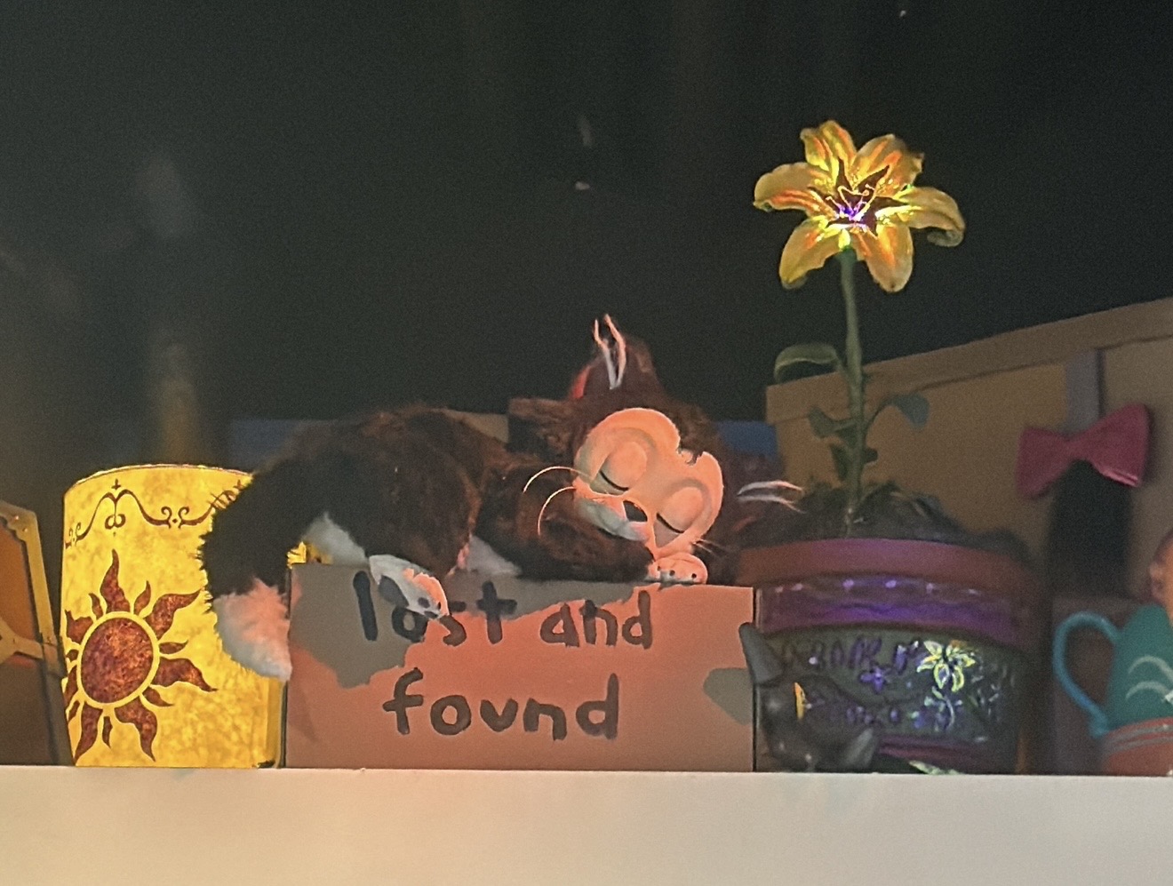 Lost and found shelf | The Main Street Mouse Lost and Found Shelf