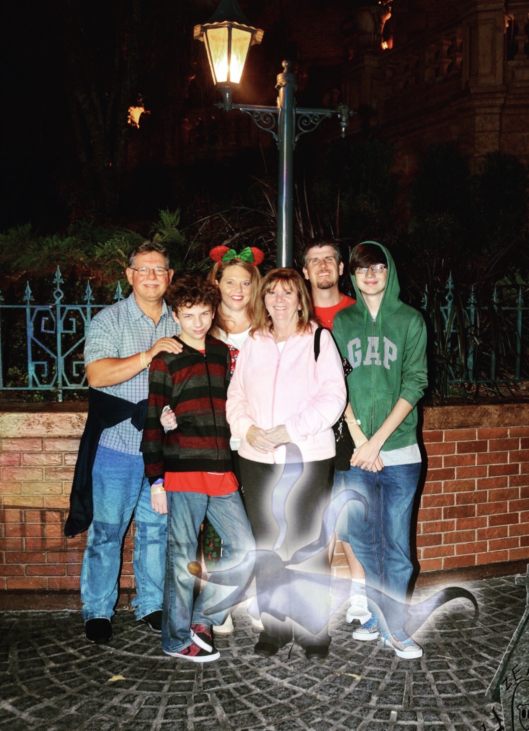 Disney Family Picture