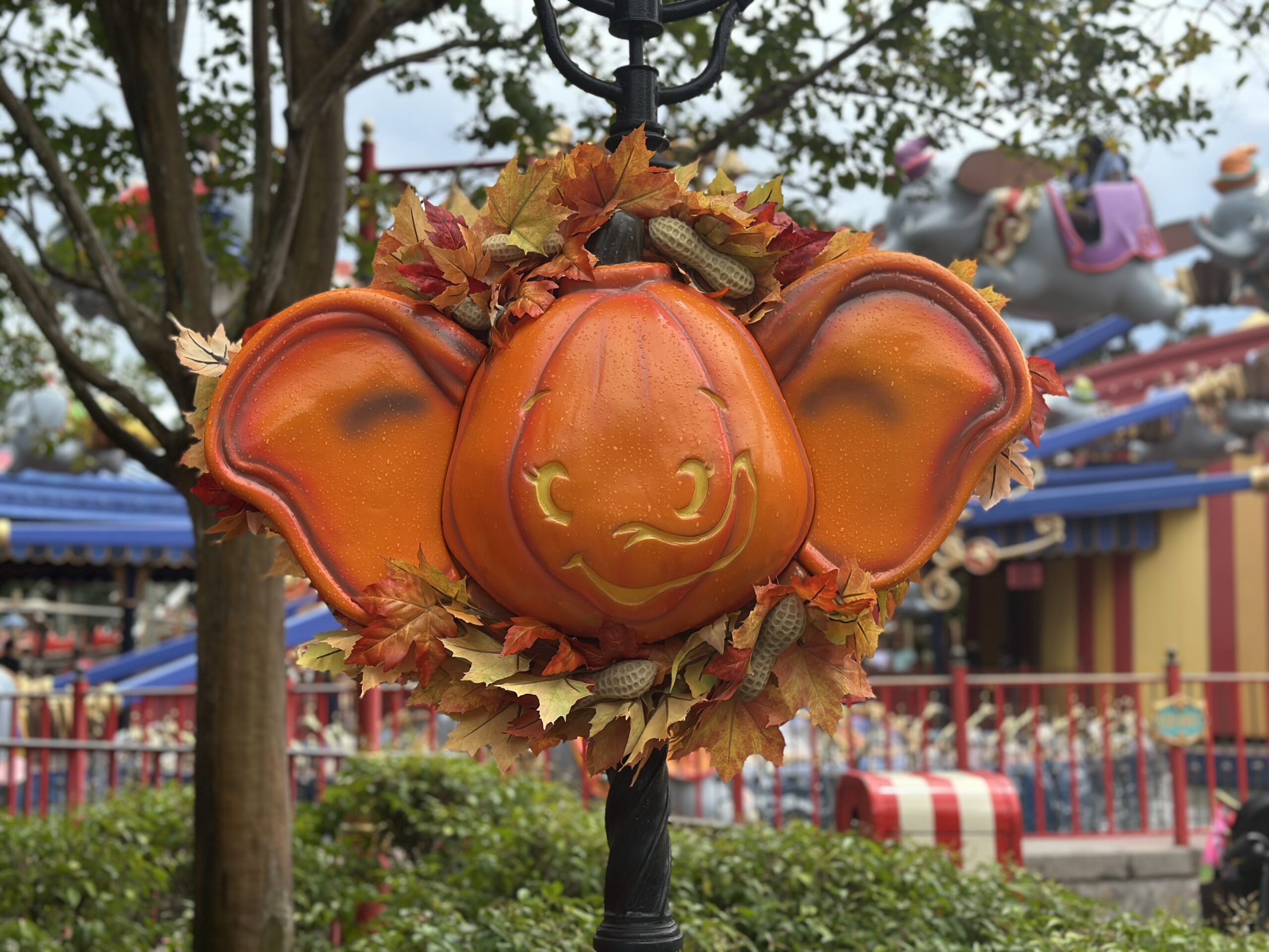 Dumbo pumpkin | The Main Street Mouse Dumbo Pumpkin