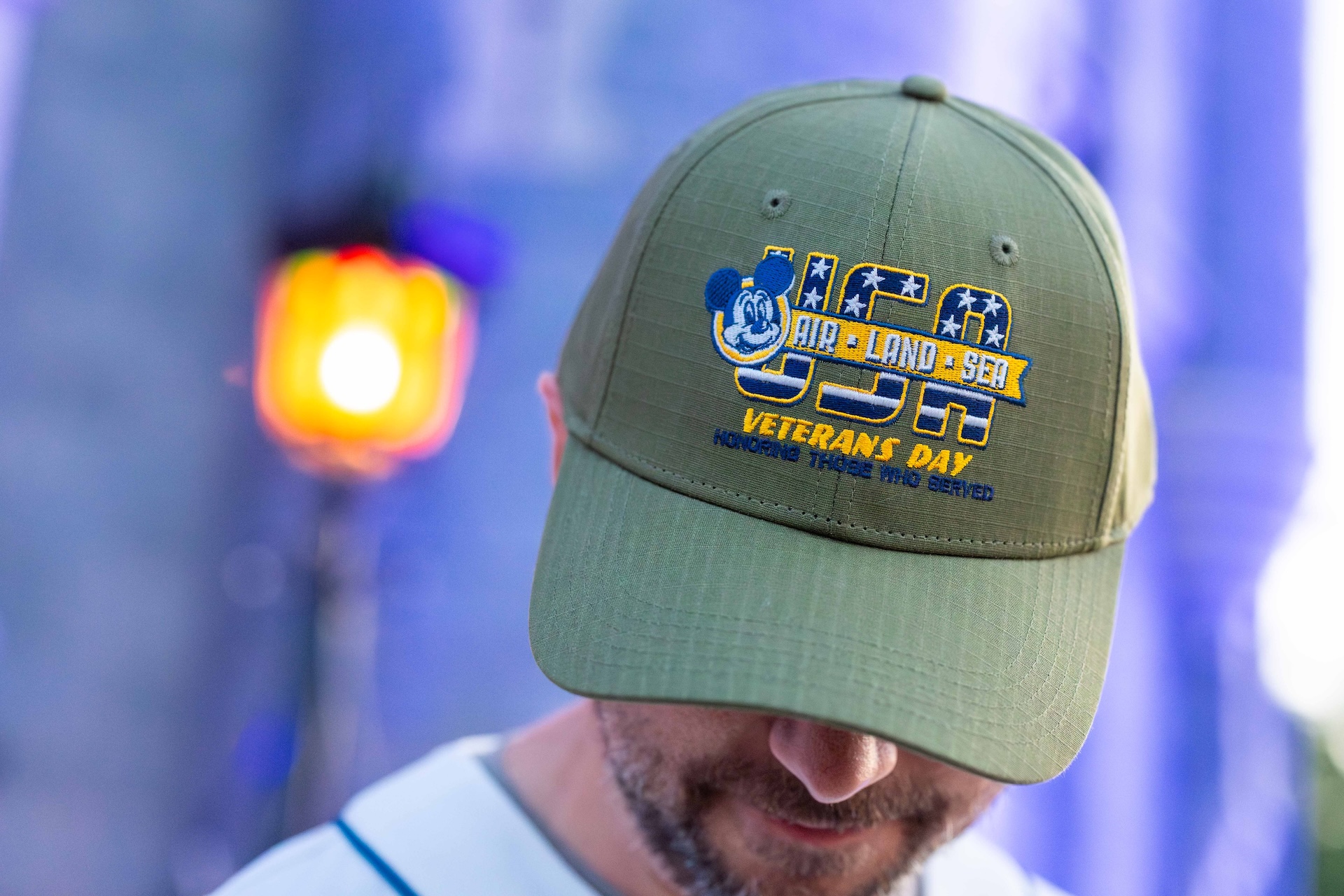 2026 Veterans Day Baseball Cap