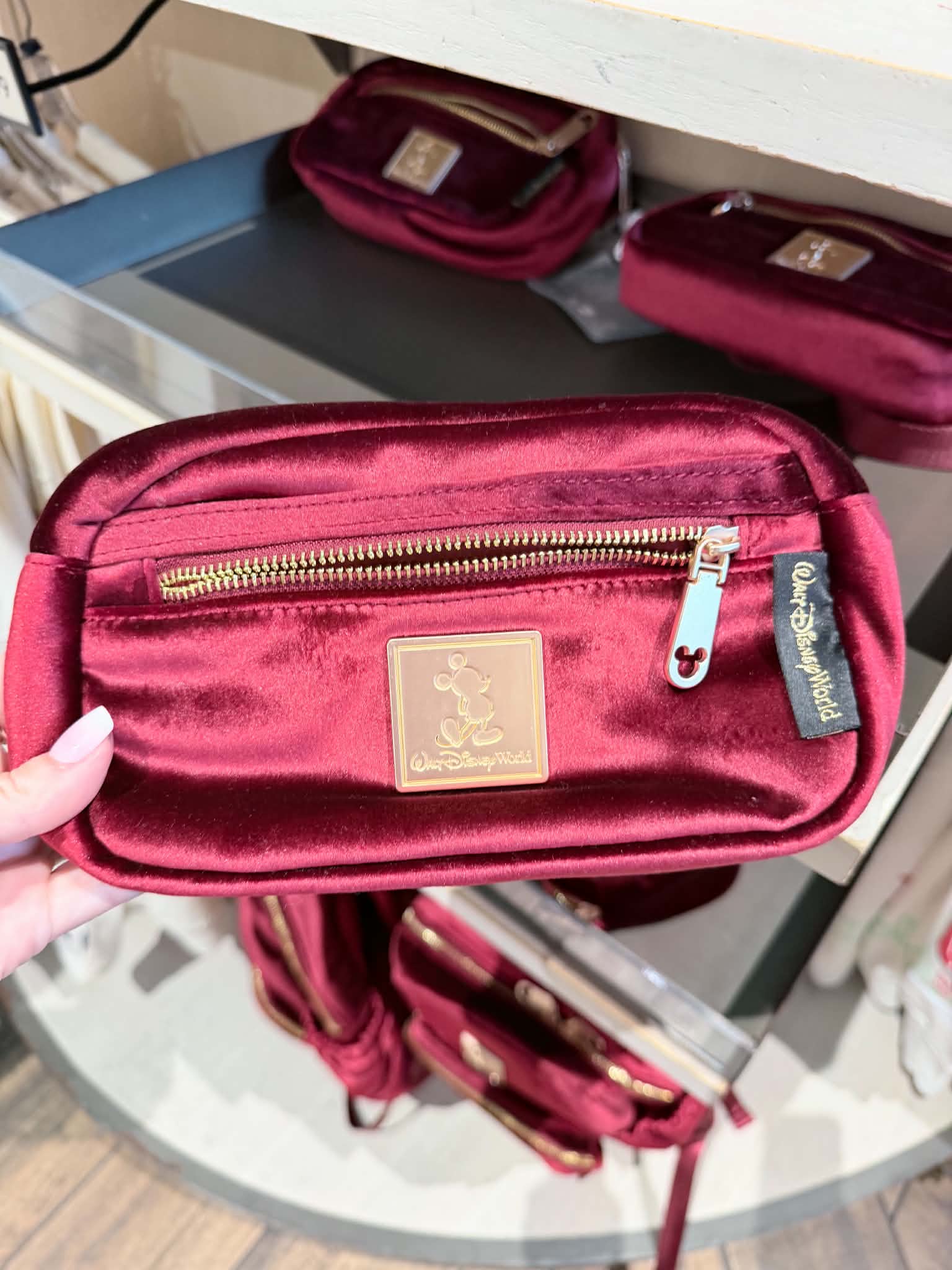 Holiday Bag | The Main Street Mouse Holiday Bag